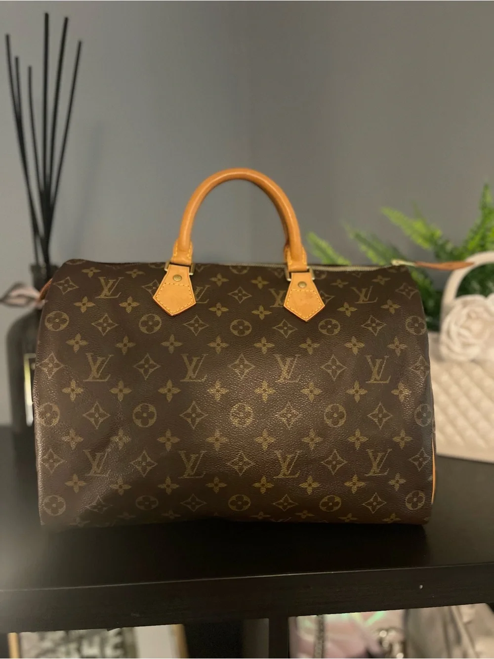 Louis Vuitton Monogram Speedy 35